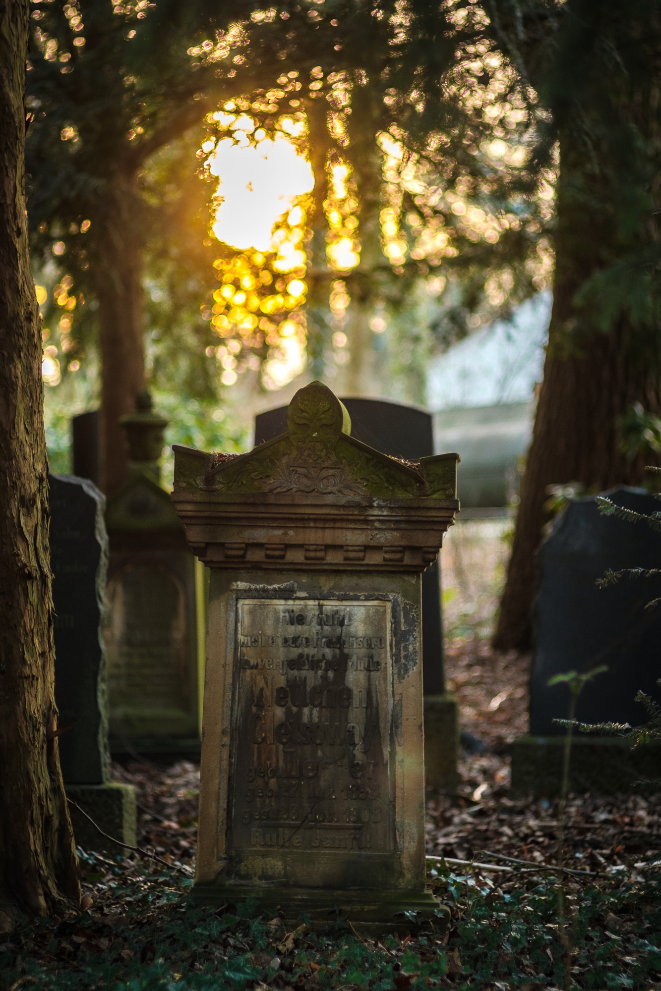 Neulich auf dem Friedhof