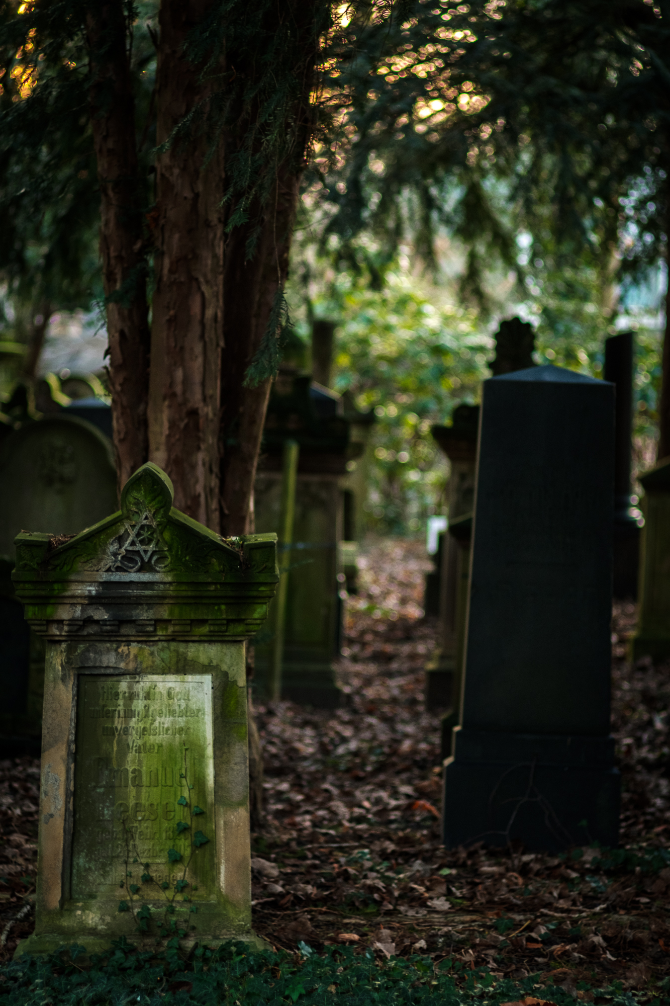 Neulich auf dem Friedhof