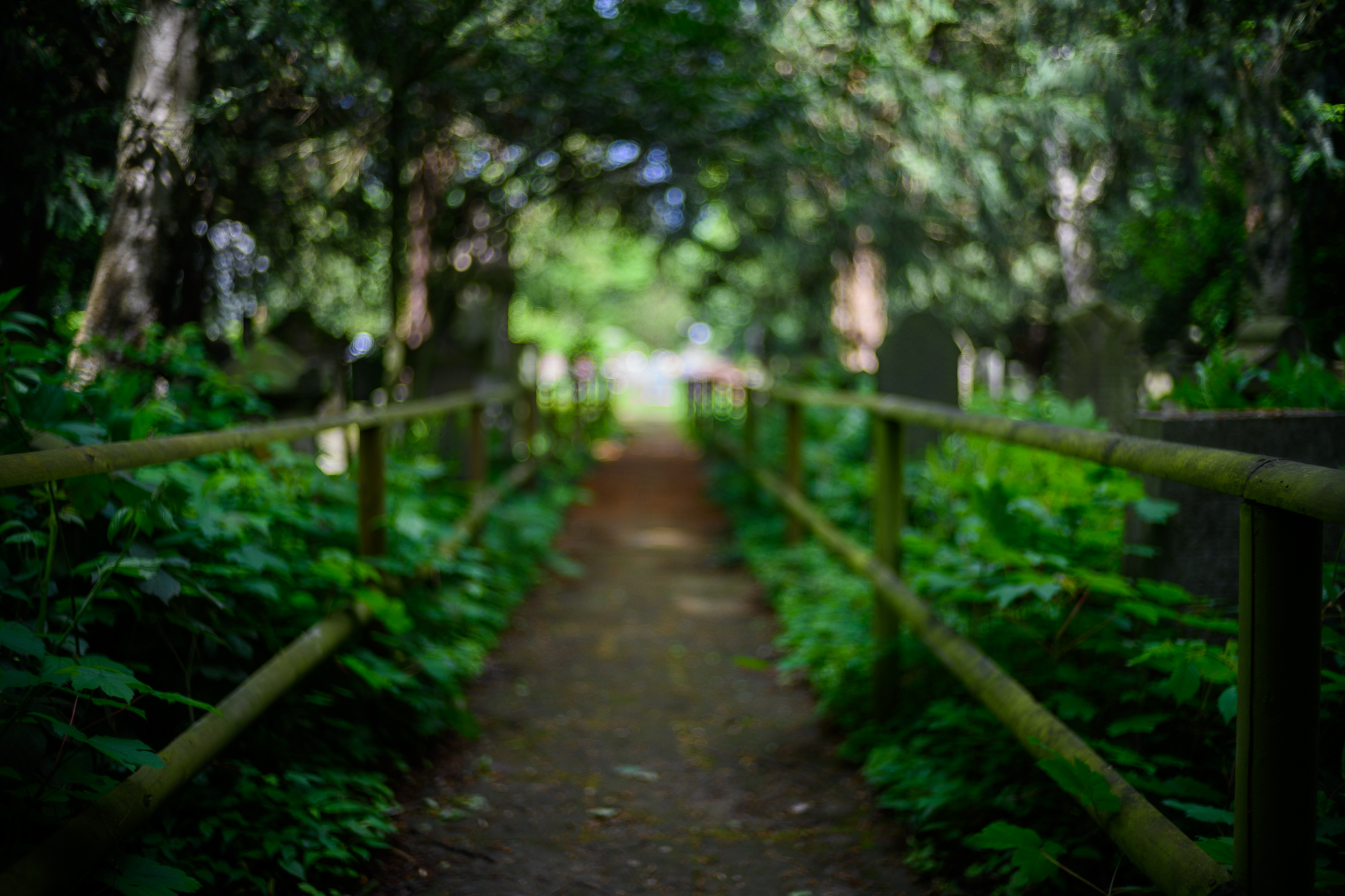 Neulich auf dem Friedhof