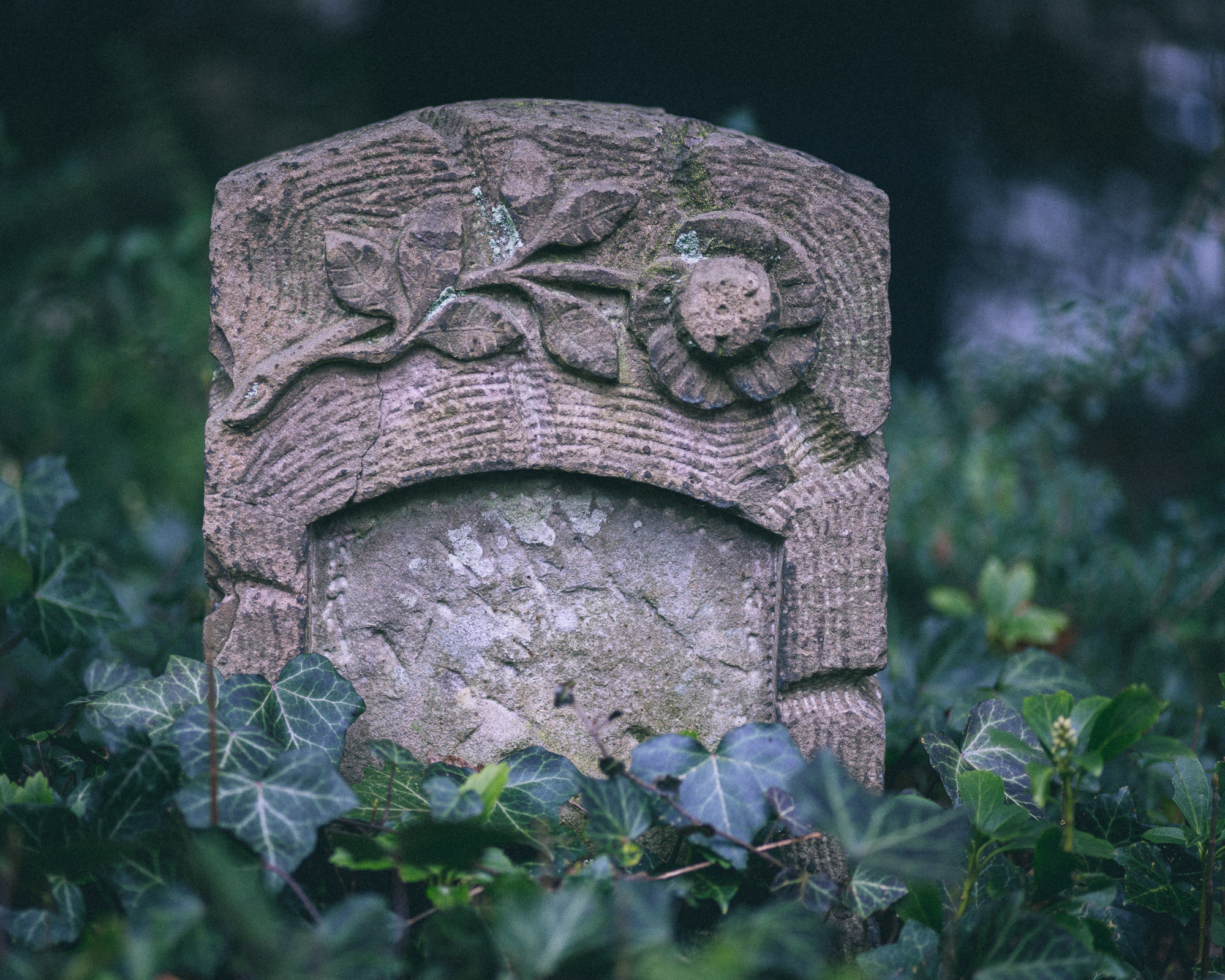 Neulich auf dem Friedhof