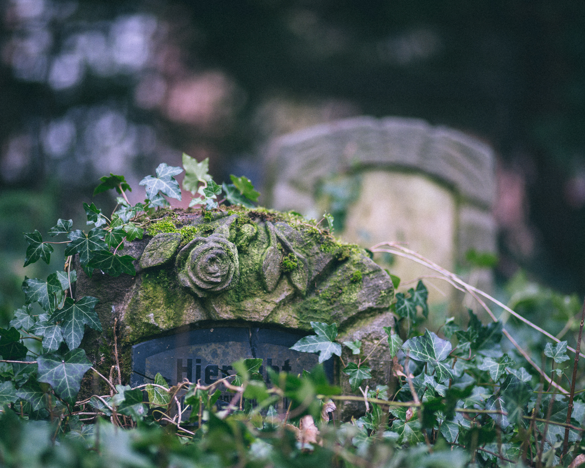 Neulich auf dem Friedhof