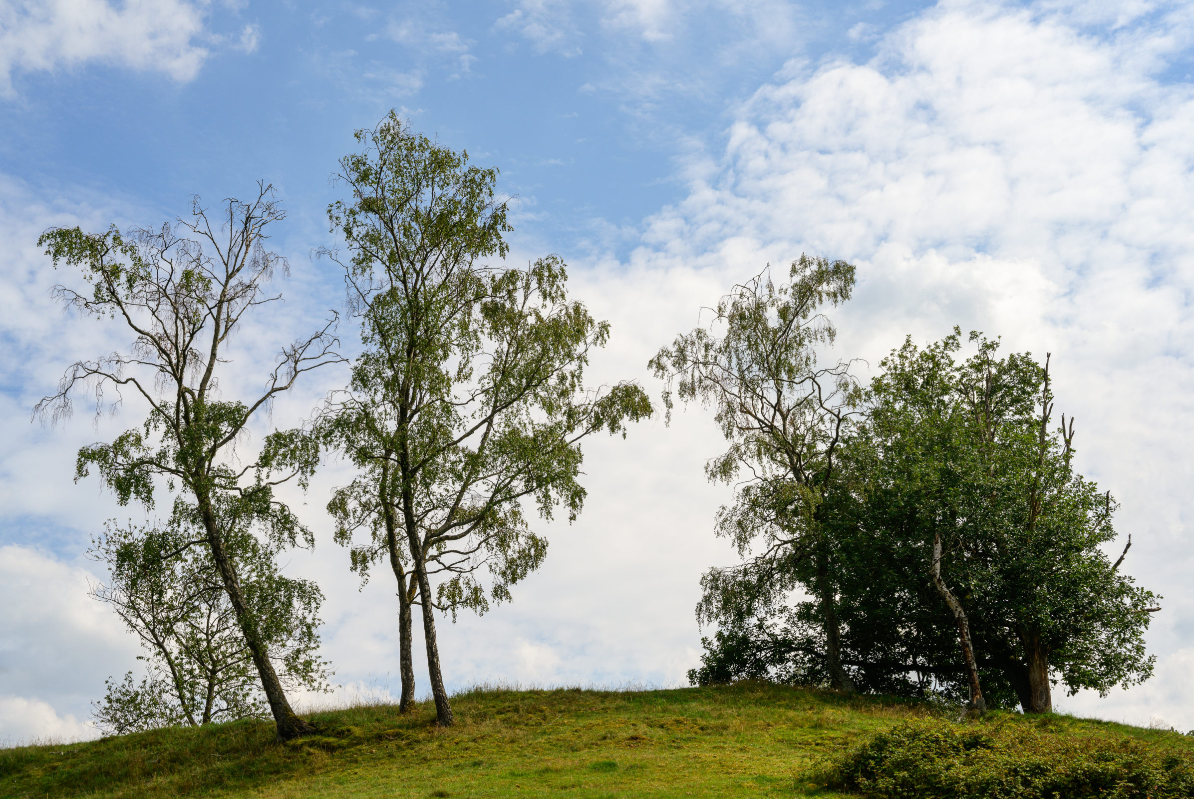 Unterwegs in Holthausen