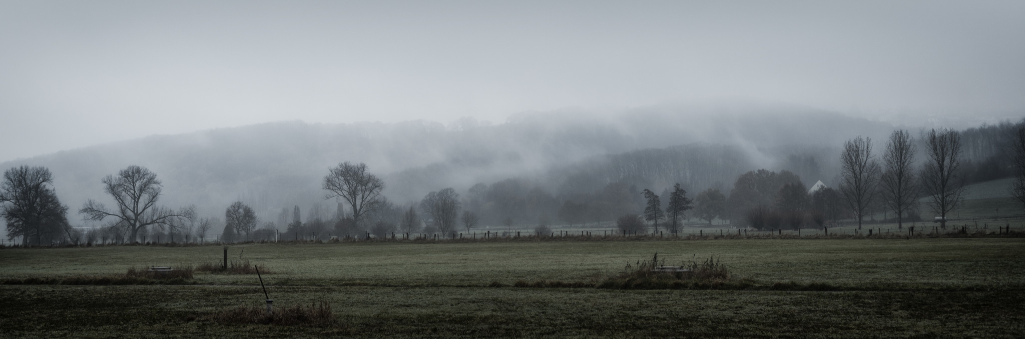 Ruhrwiese im Nebel