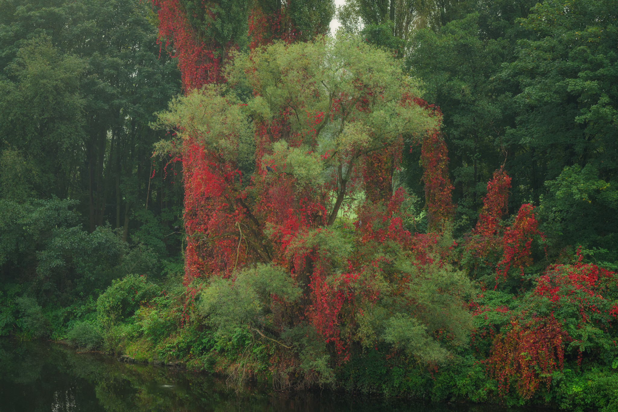 Der Herbst kommt.