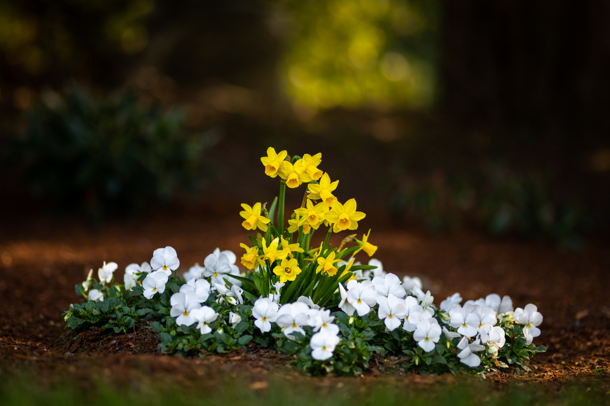 Neulich auf dem Friedhof