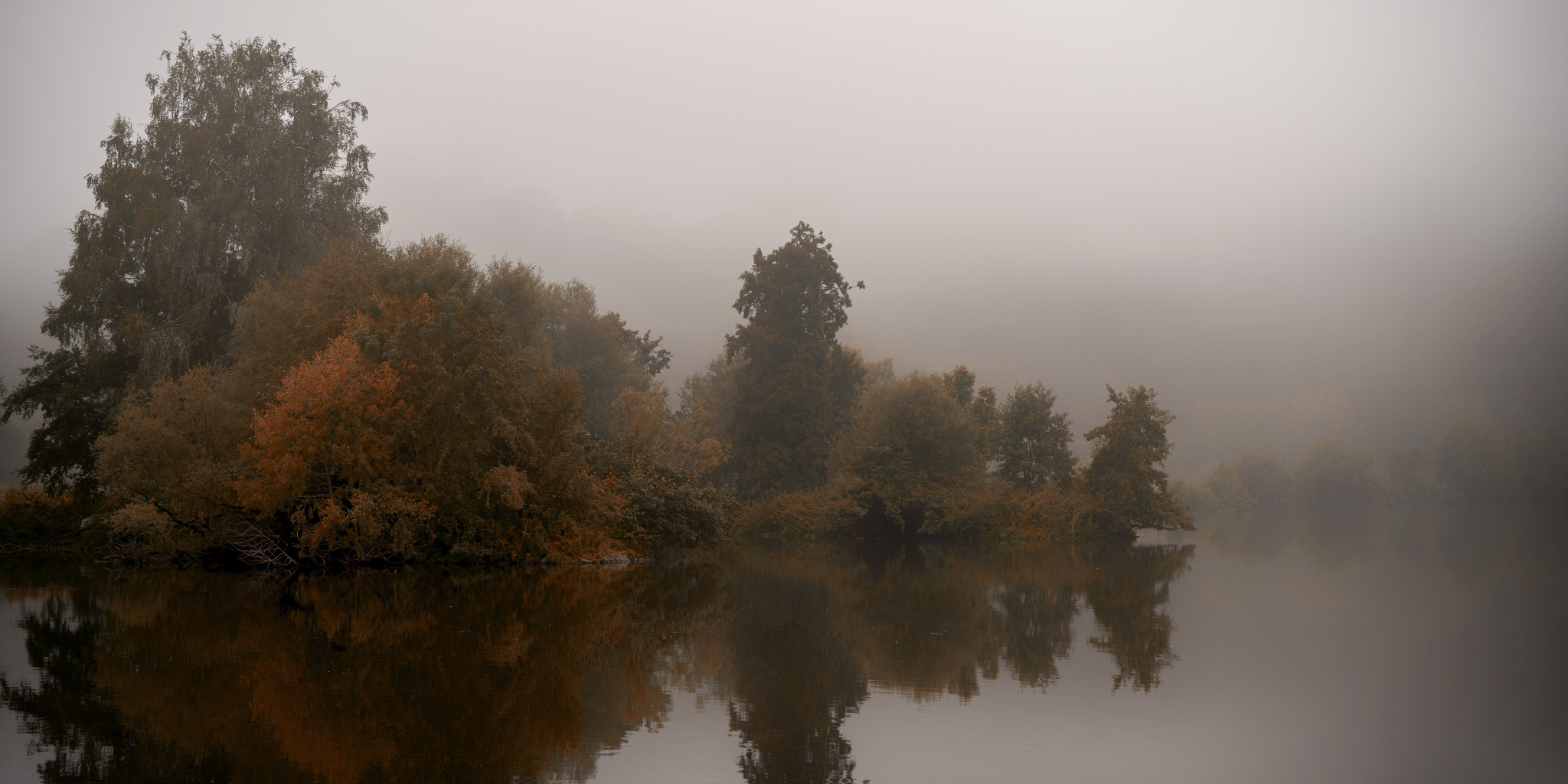 Insel im Nebel