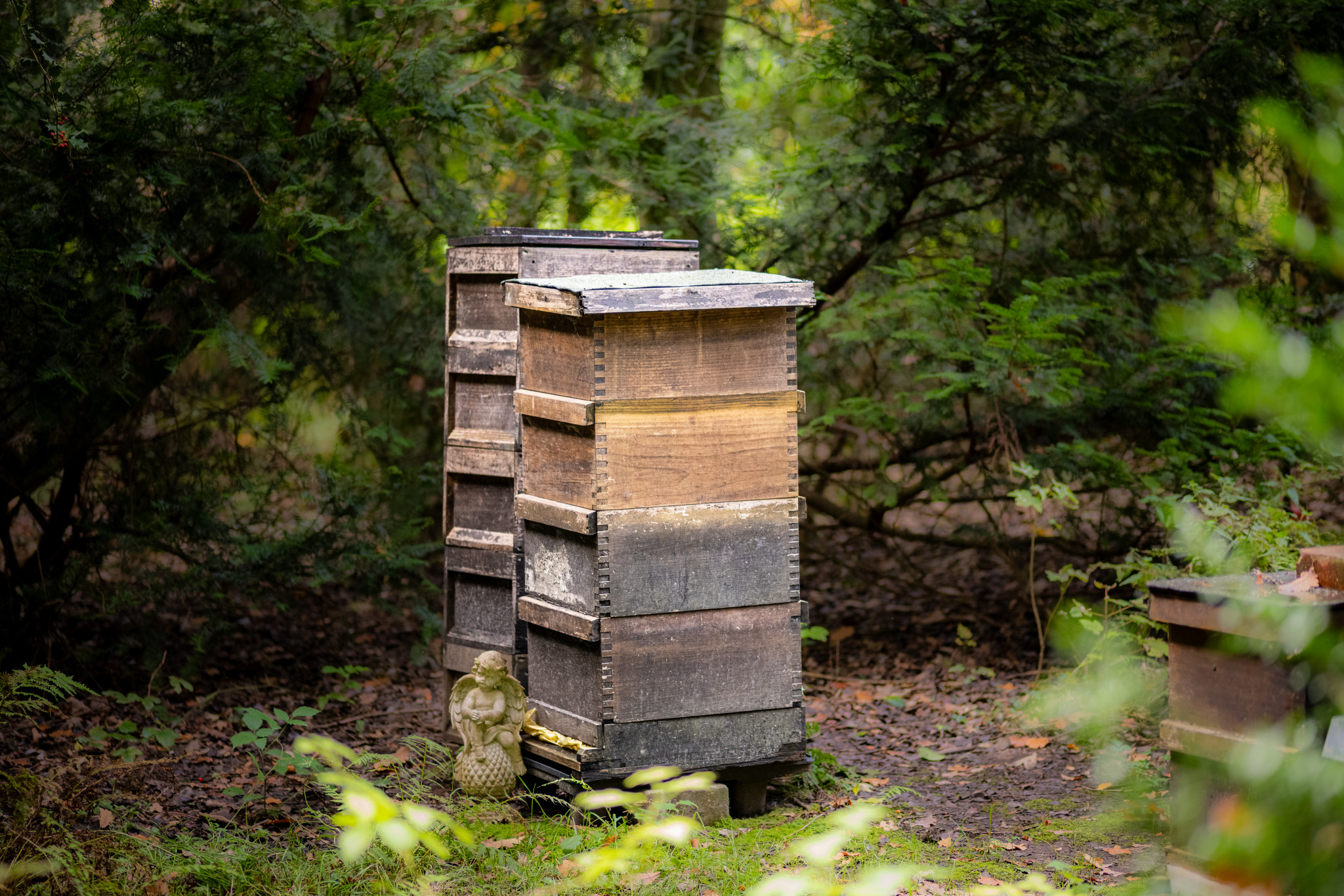 Bienenstock auf dem Friedhof