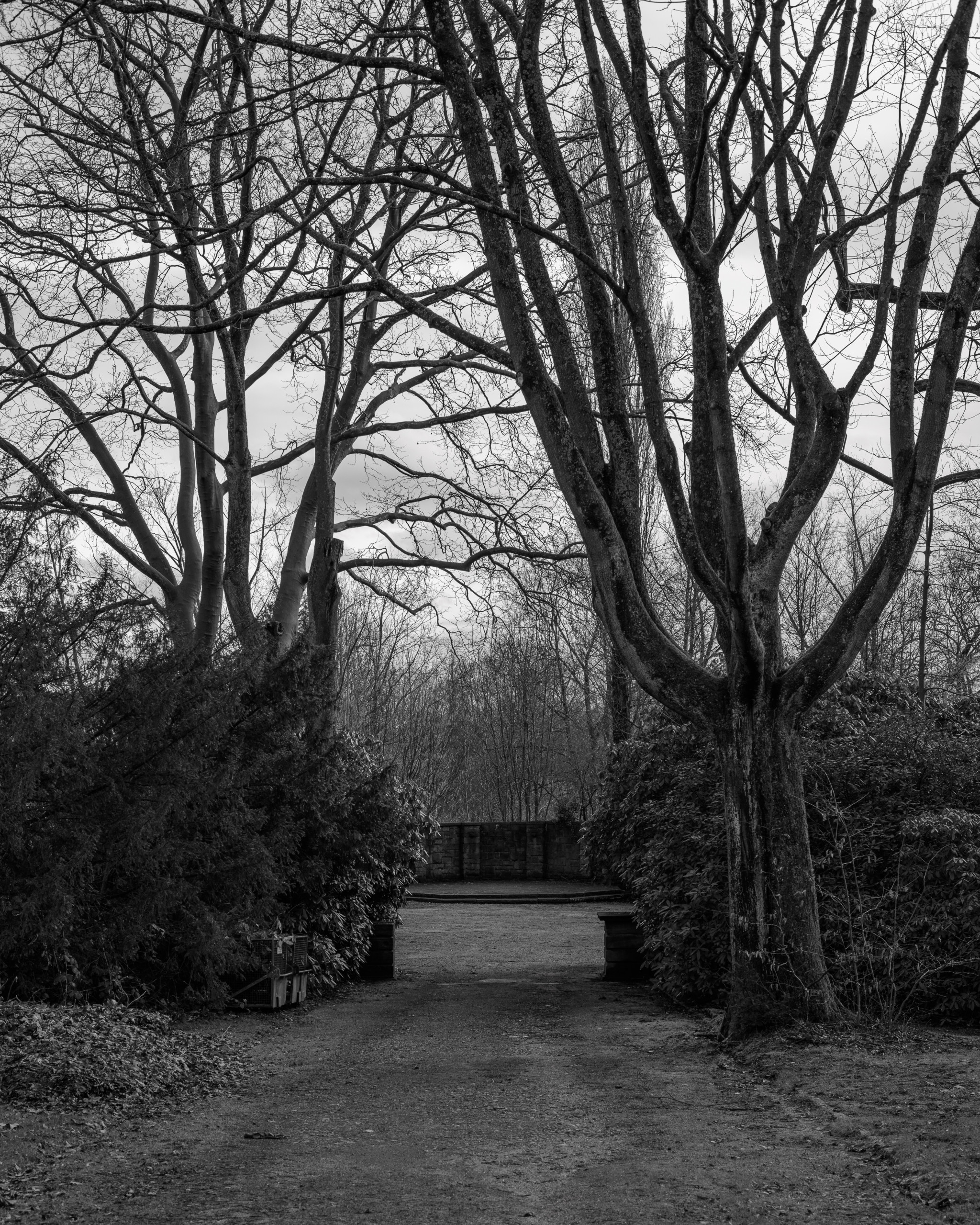 Neulich auf dem Friedhof