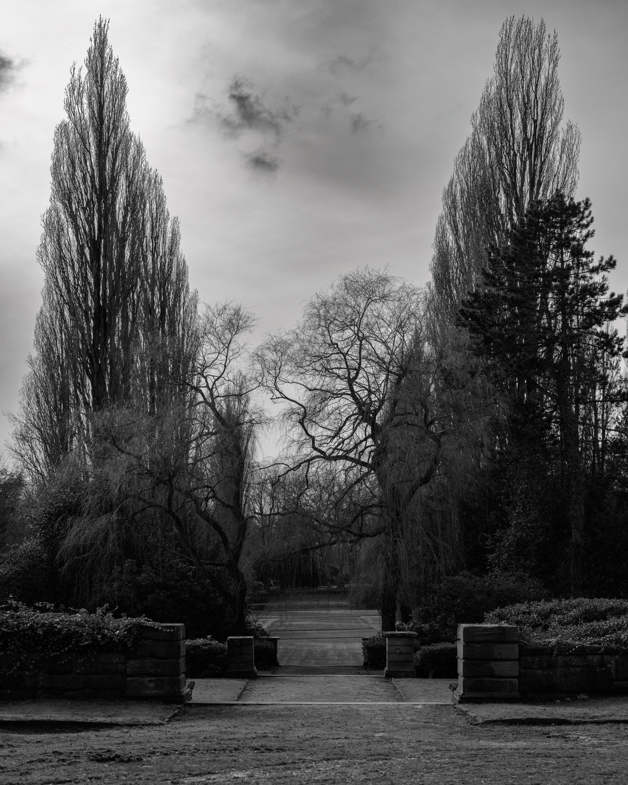 Neulich auf dem Friedhof