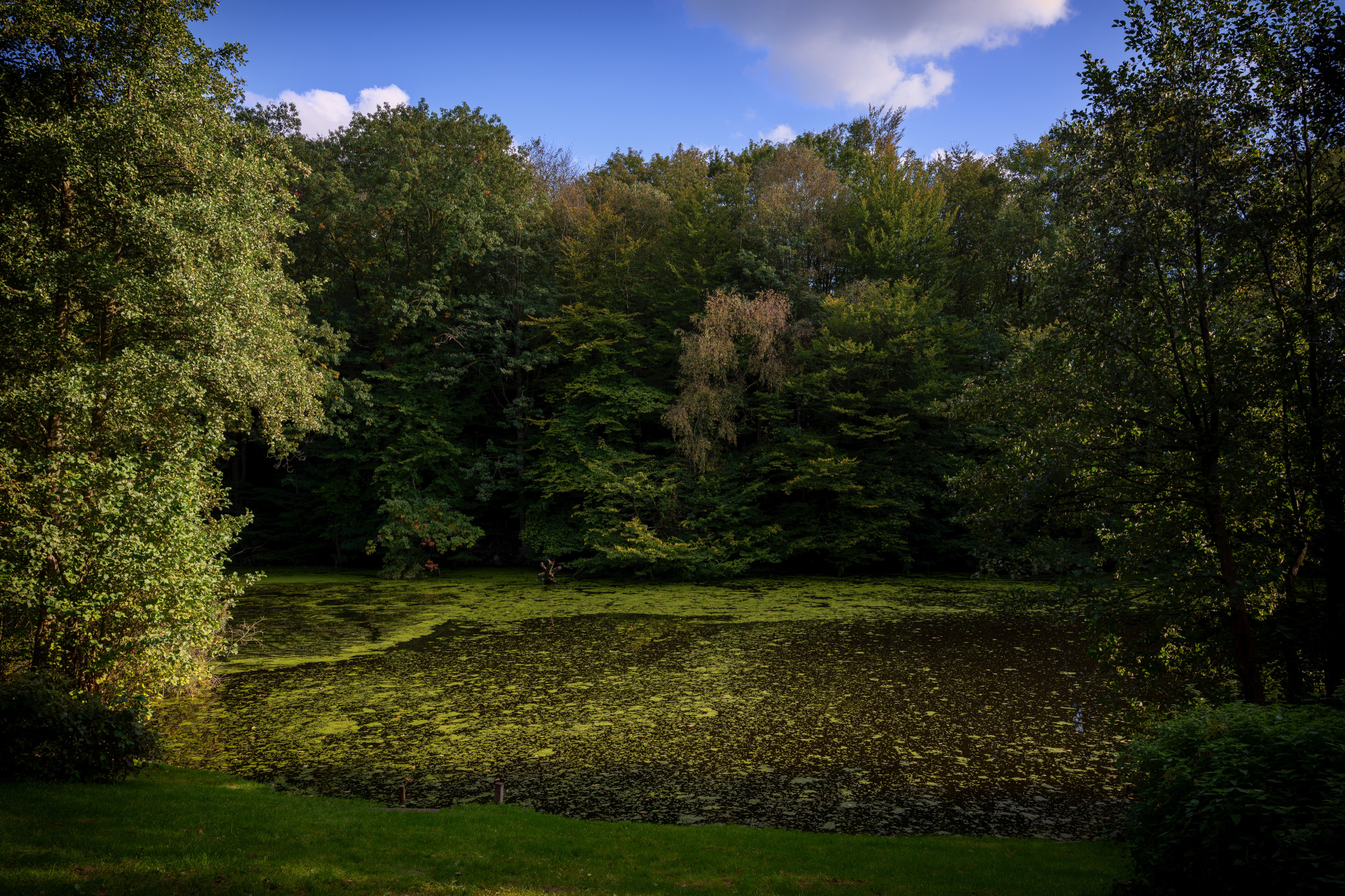 Der Herbst kommt