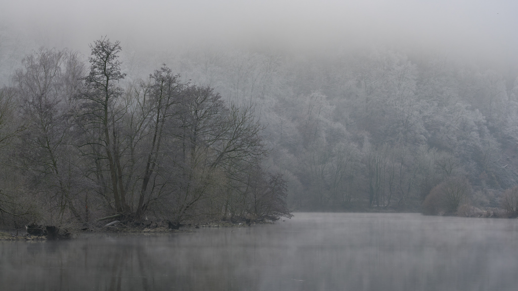 frostiger Morgen