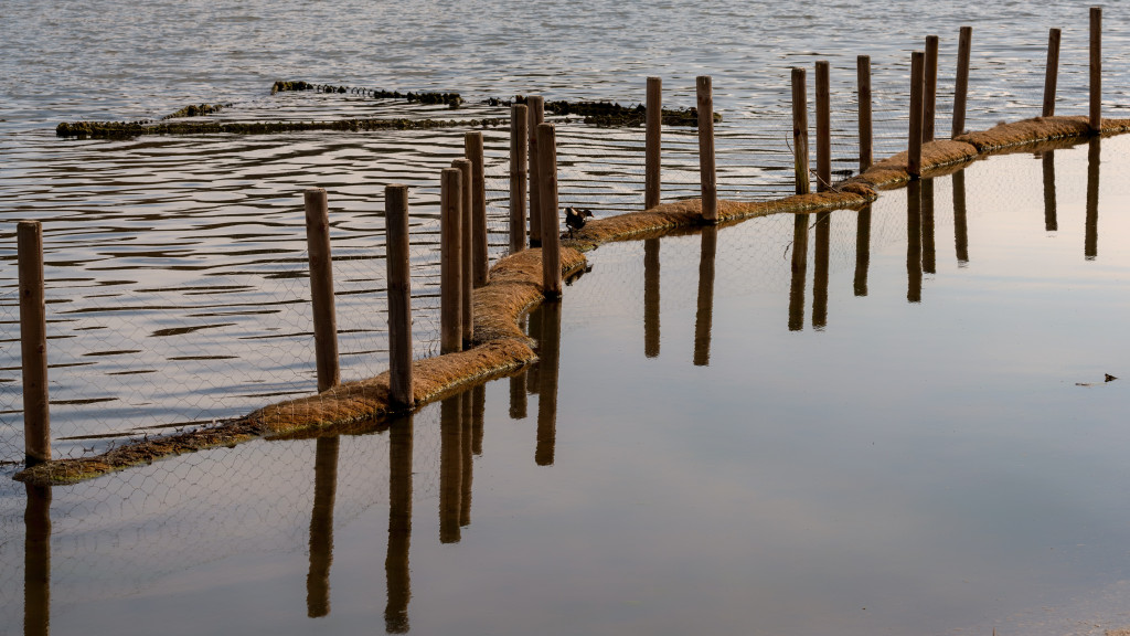 Mehr vom Ümminger See