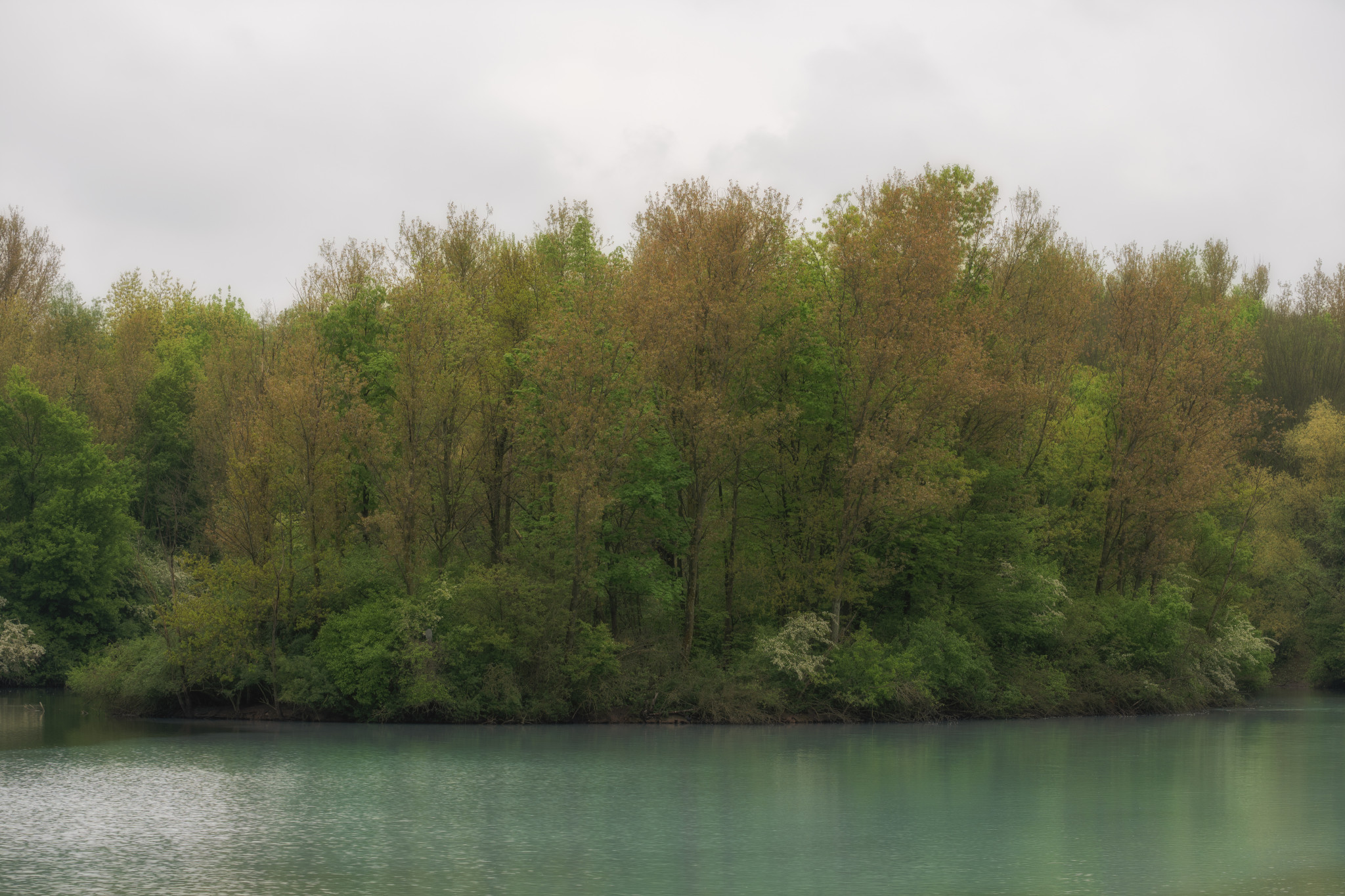 Das milchig trübe Wasser der Harpener Teiche