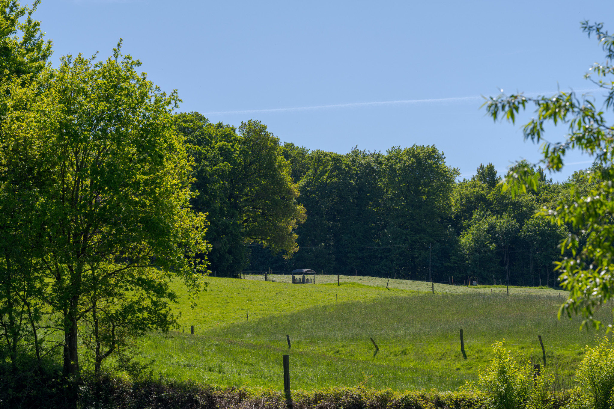 Spaziergang durch’s Lottental