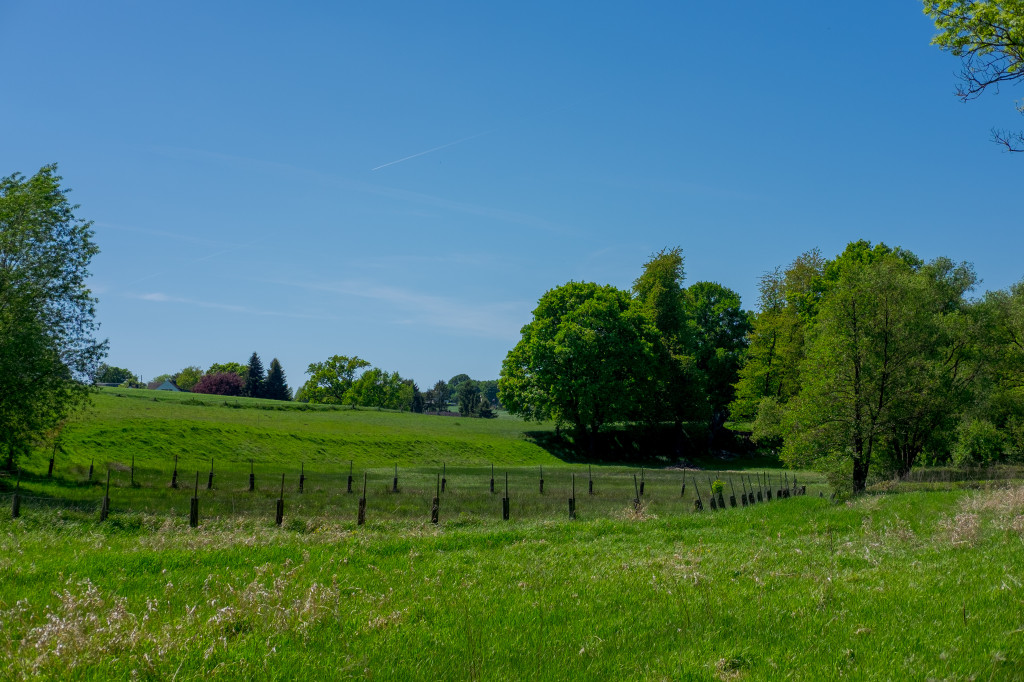 Spaziergang durch’s Lottental