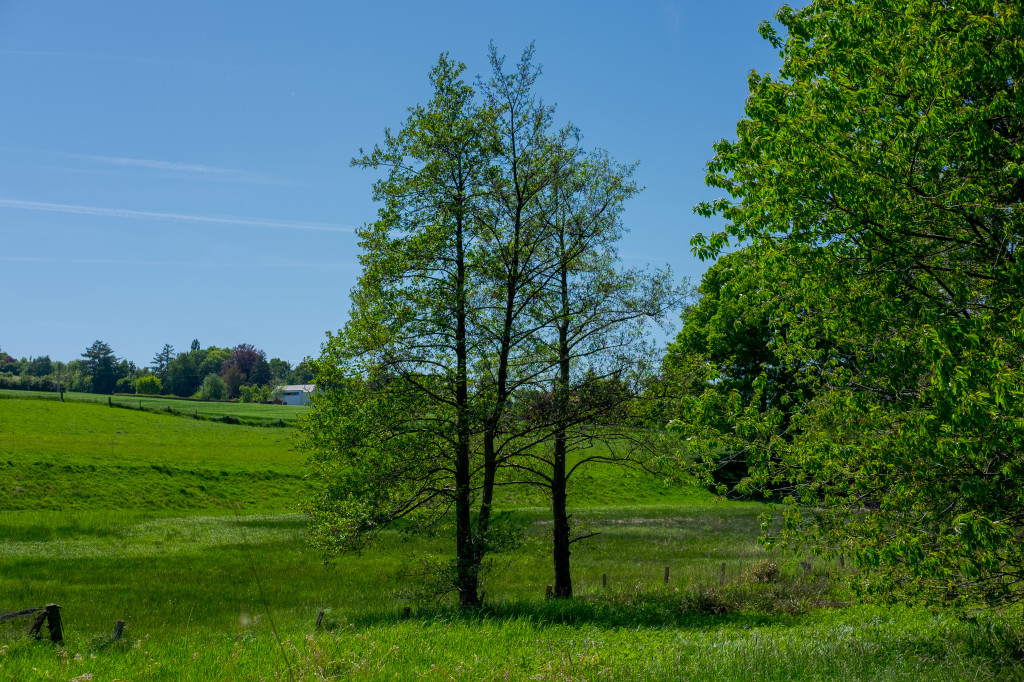 Spaziergang durch’s Lottental