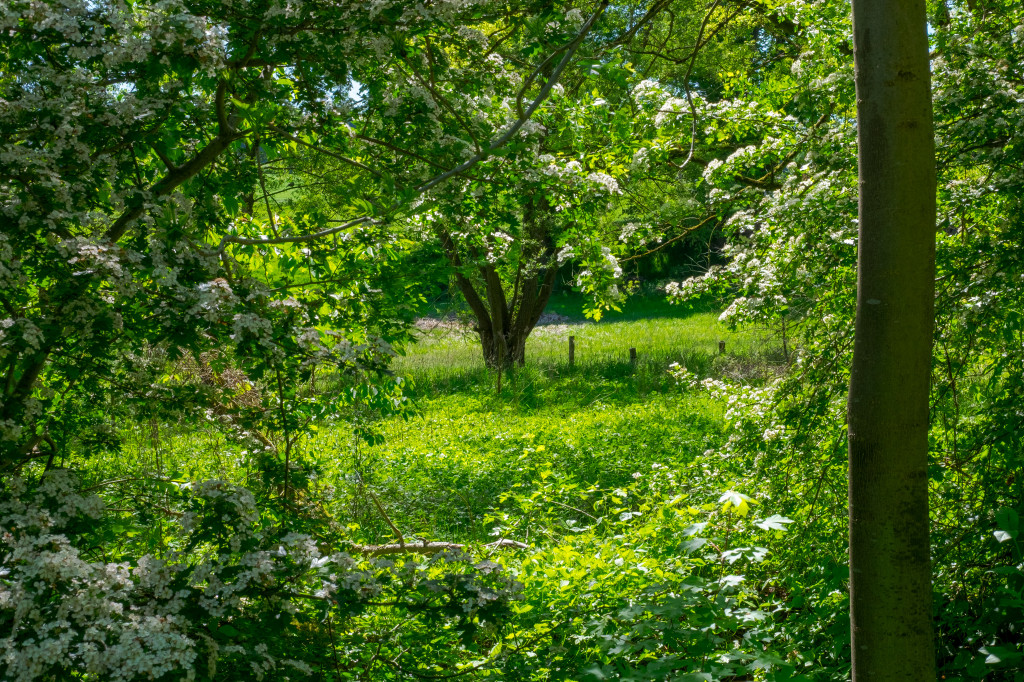 Spaziergang durch’s Lottental