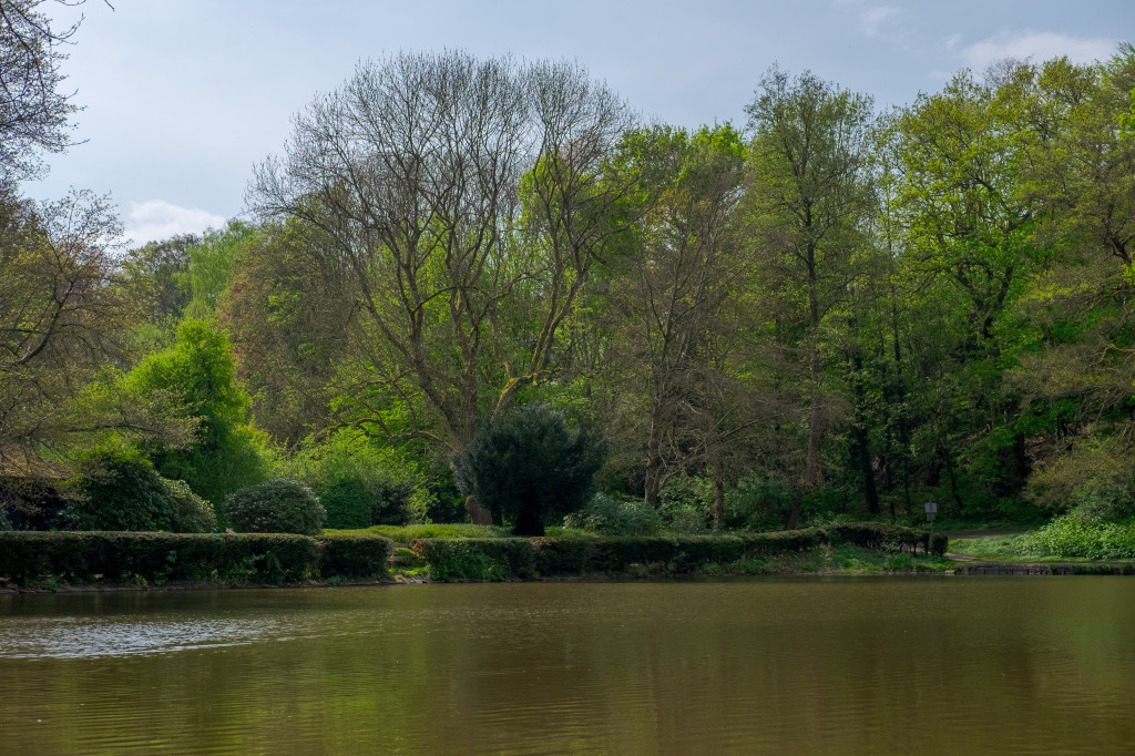 Hammerteich 1