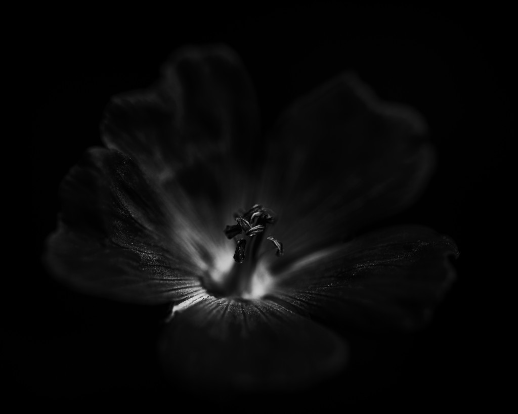 Dark Matters