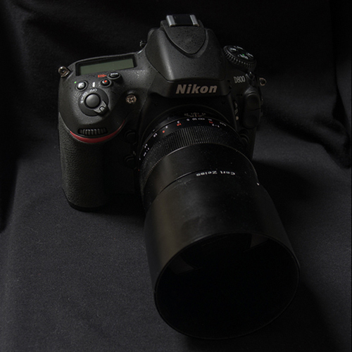 Nikon D800 // Carl Zeiss T* Makro Planar 2.0/100mm ZF.2